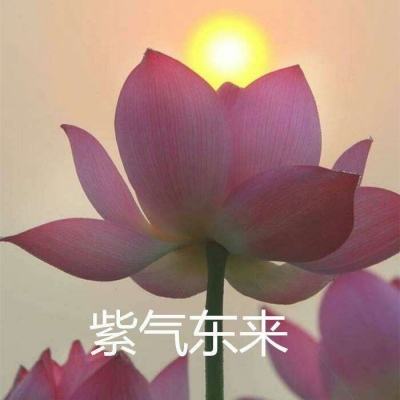 枪炮与荣耀无限金币版下载